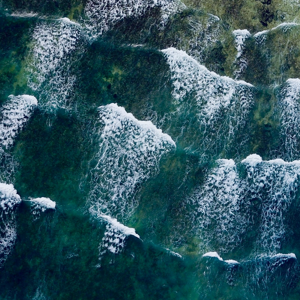 Equipos como sistemas vivos